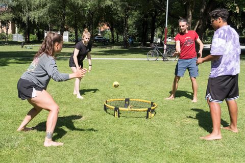 Vier Erwachsene spielen Spikeball auf einer Wiese.