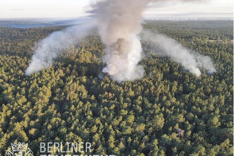Der Brand im Berliner Grunewald aus der Luft
