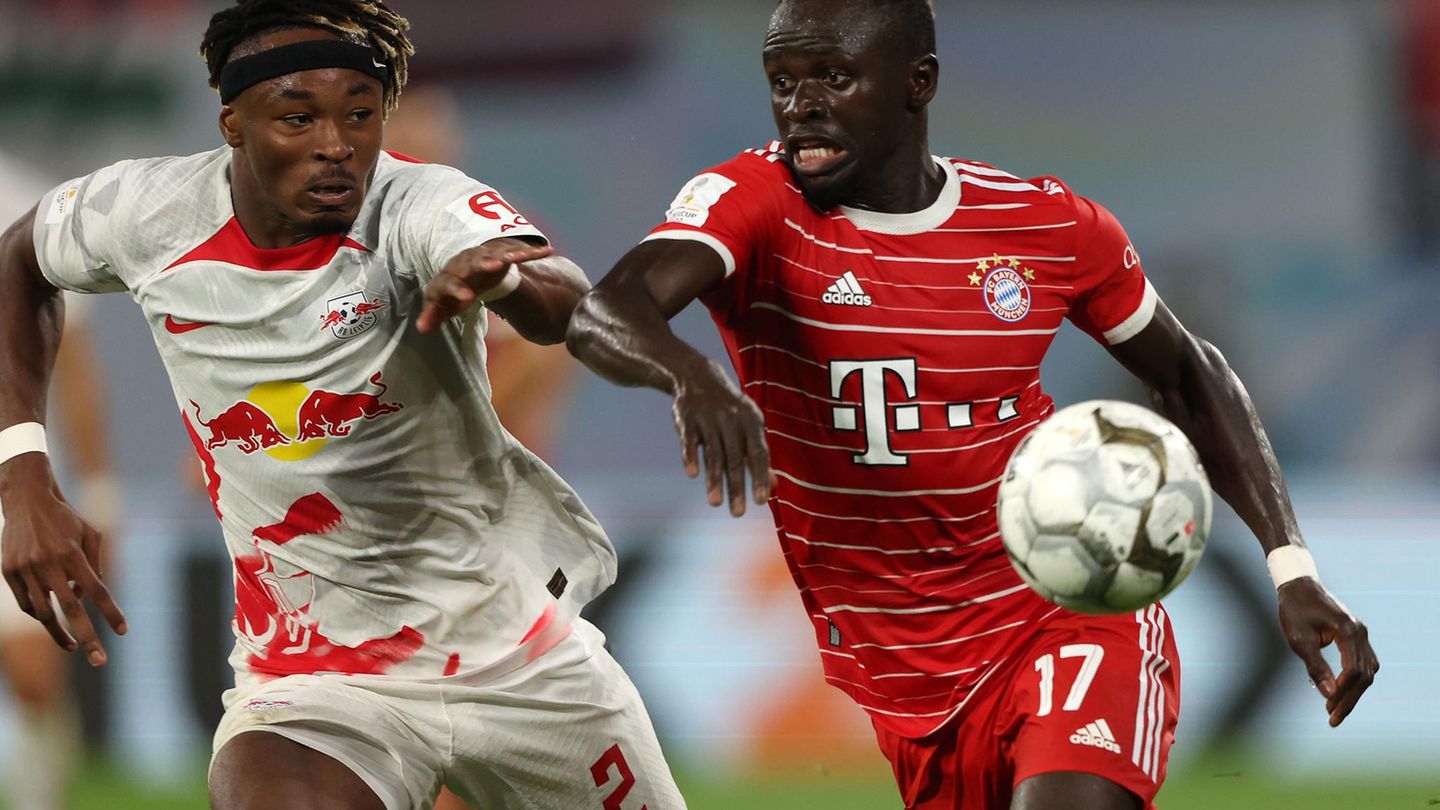 Bundesliga before the start of the season: organization ProFans draws a bitter conclusion