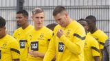 Weniger Gegentore - aber trotzdem nicht Platz 1!  Dank der Verpflichtung der Nationalverteidiger Niklas Süle und Nico Schlotterbeck gewinnt die Borussia an Stabilität in der Abwehr und verkürzt den Abstand auf die Bayern. Doch die große Sehnsucht nach einem Meistertitel bleibt auch dieses Mal unerfüllt.