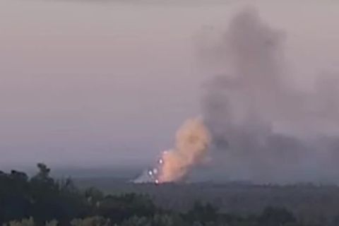 Waldbrand in Berlin: Webcam filmt Explosionen im Grunewald