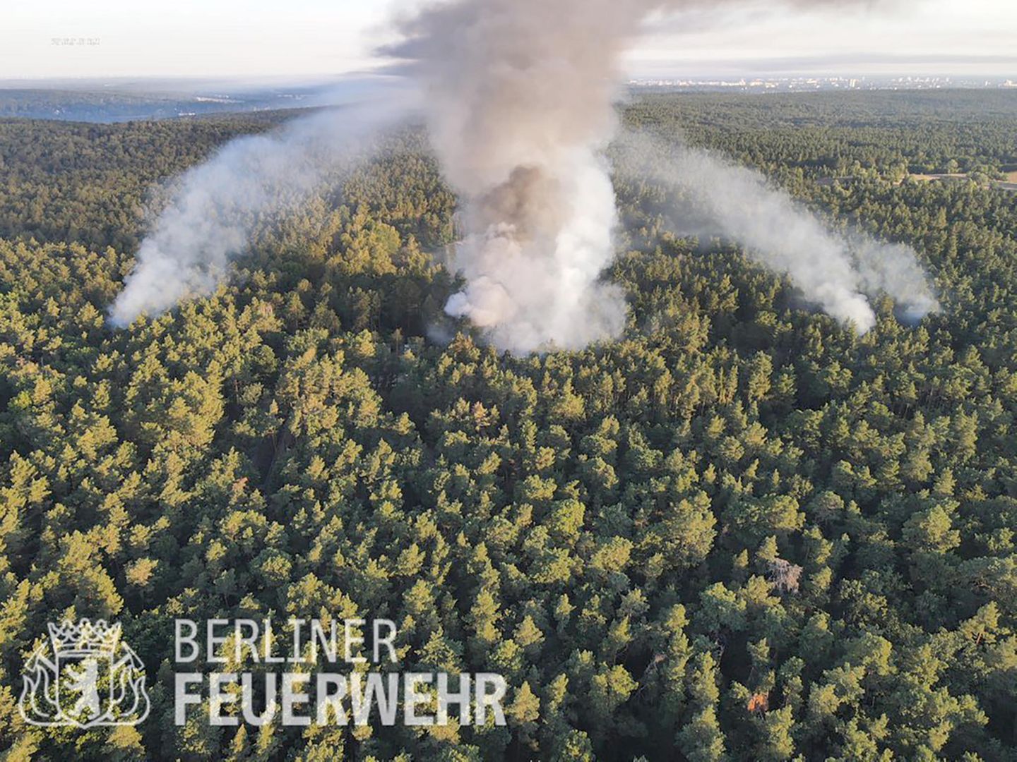Die Luftaufnahme der Berliner Feuerwehr zeigt den Brand im Grunewald.