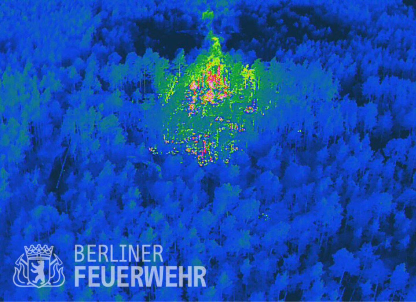 Ein Wärmebild der Berliner Feuerwehr zeigt den Brand im Grunewald.