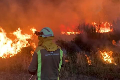 Video: Waldbrände wüten in Südeuropa