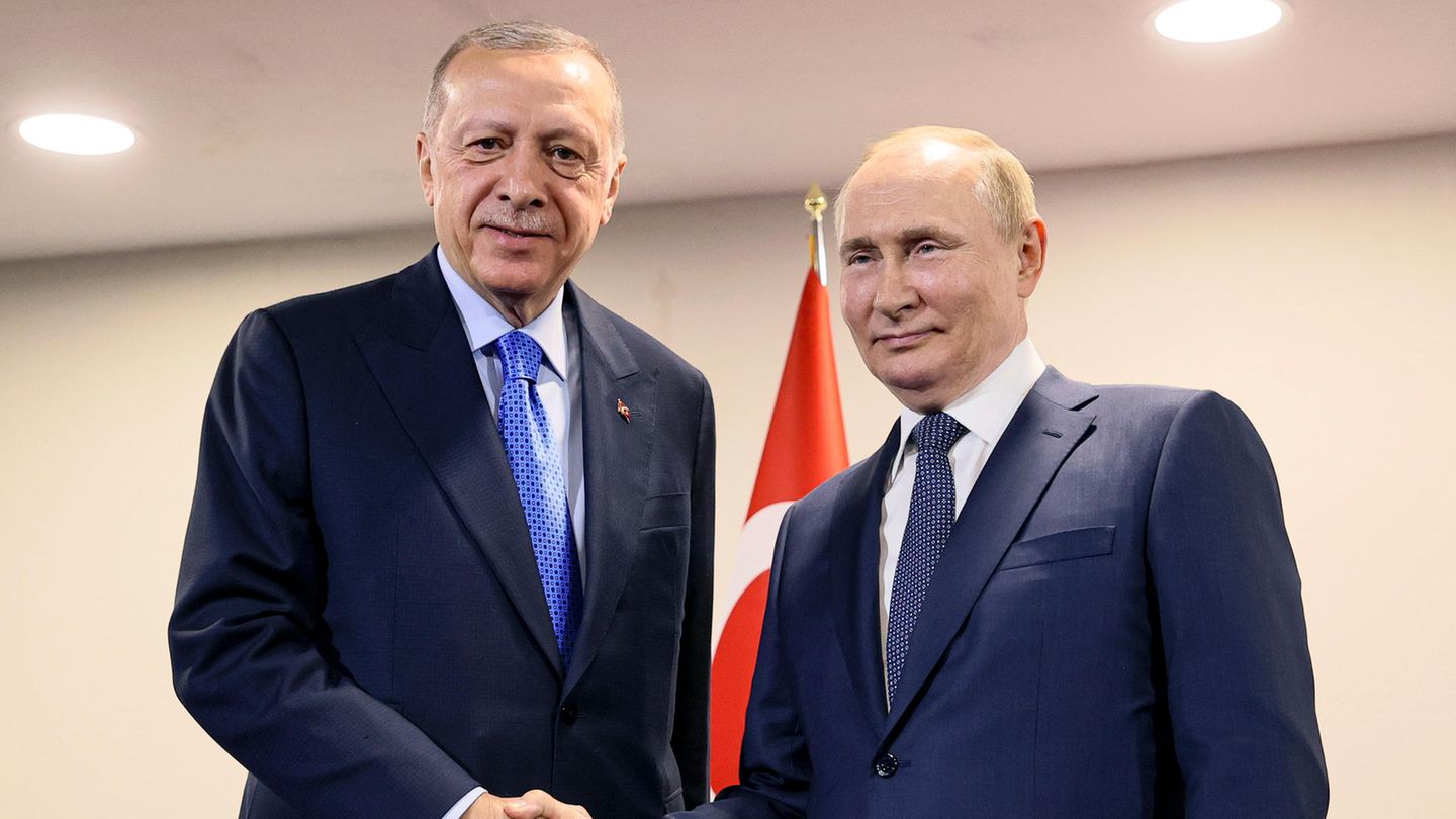 Erdogan und Putin schütteln sich die Hände