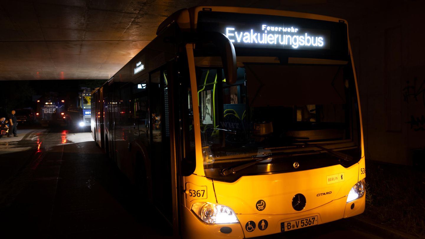 Linienbusse