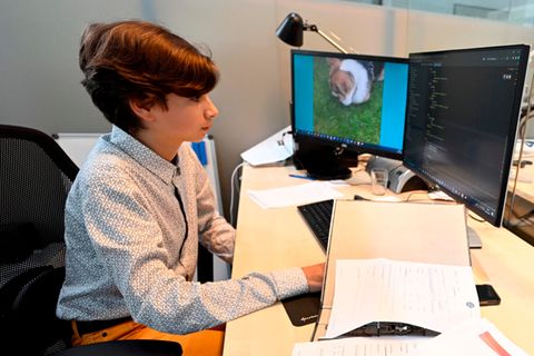 Der höchstbegabte Ruben Charara in der Softwarefirma aievas AG