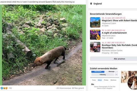Ein Foto und Kommentare von Nutzern eine Facebook-Gruppe bei Manchester