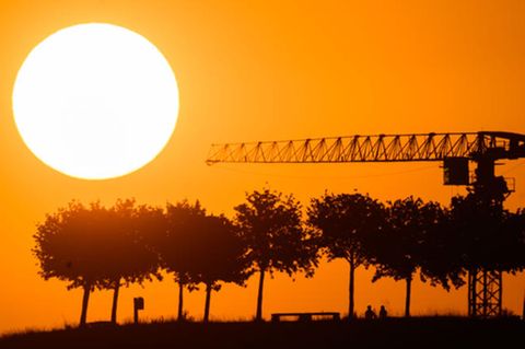 Klimawandel: Die Sonne versinkt hinter Bäumen