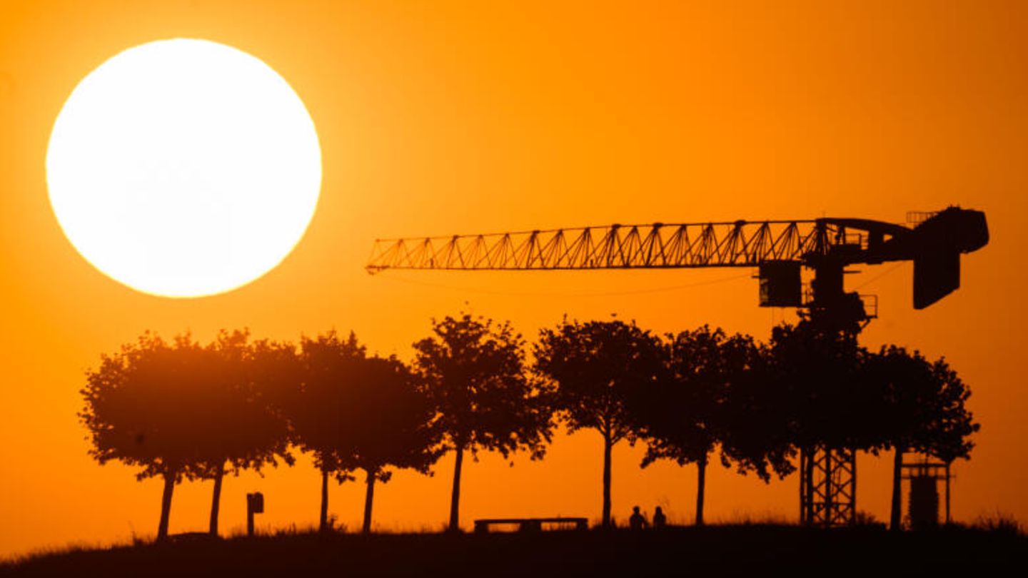 Klimawandel: Die Sonne versinkt hinter Bäumen