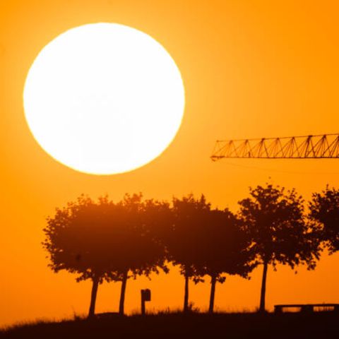 Klimawandel Krankheiten Klimawandel: Die Sonne versinkt hinter Bäumen