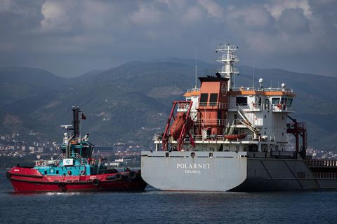 Das Frachtschiff "Polarnet" erreicht den Hafen von Derince im Golf von Izmit