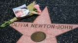Hollywood, Kalifornien. Und wieder ist ein Stern am Hollywood-Firmament verglüht. Einen Tag nach dem Tod der Australischen Sängerin und Schauspielerin Olivia Newton-John liegen Blumen neben ihrem Stern auf dem Walk of Fame. Newton-John starb im Alter von 73 Jahren. Berühmt wurde sie unter anderem durch ihre Rolle als Highschool-Mädchen Sandy in dem Film "Grease".