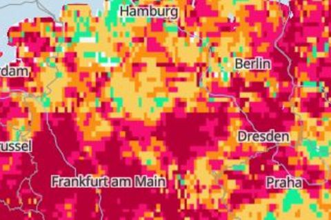 Eine Karte zeigt die Waldbrandgefahr