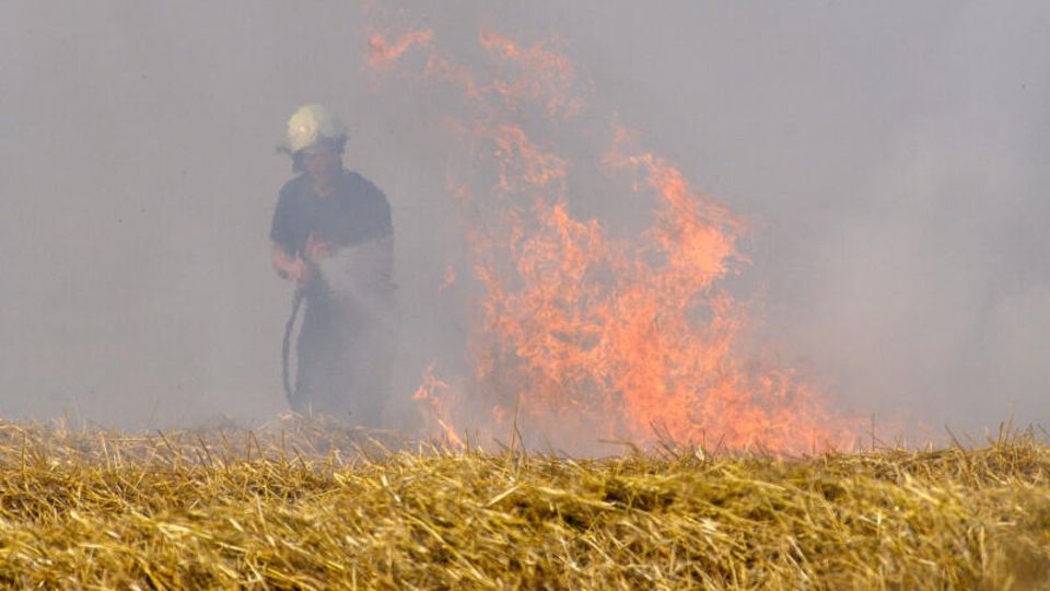 Ein Feuerwehrmann löscht einen Feldbrand in Sachsen-Anhalt.
