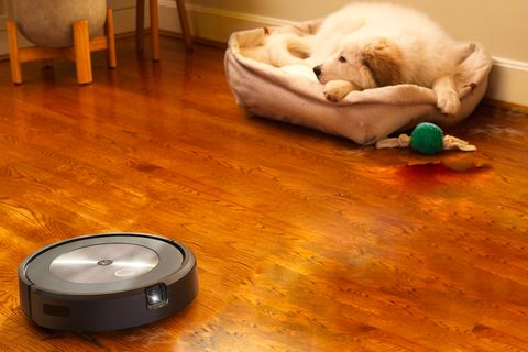 Ein Roomba-Roboter fährt durch ein Zimmer, im Hintergrund ein Hund