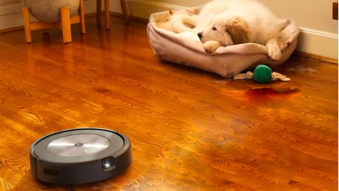 Ein Roomba-Roboter fährt durch ein Zimmer, im Hintergrund ein Hund