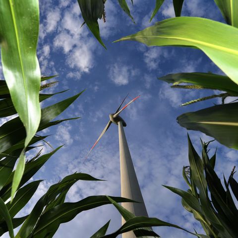 Anpassung an den Klimawandel: Diese Maßnahmen gibt es