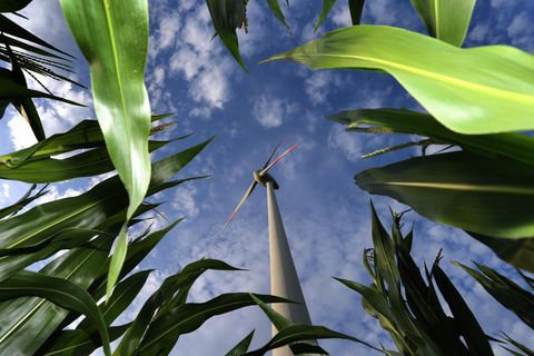 Anpassung an den Klimawandel: Diese Maßnahmen gibt es