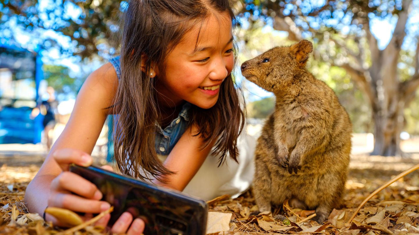 Ein Besuch auf Rottnest Island: Quokkas, Pinien und 63 Strände