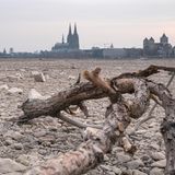 Rhein trocken - Köln Ast