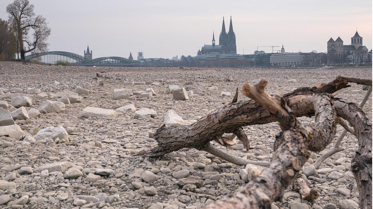 Rhein trocken - Köln Ast Rhein trocken - Köln Ast