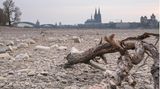 Rhein trocken - Köln Ast