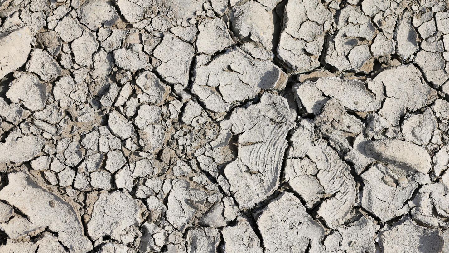 Rhein trocken - Wüstenboden