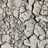 Rhein trocken - Wüstenboden