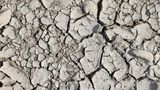 Rhein trocken - Wüstenboden