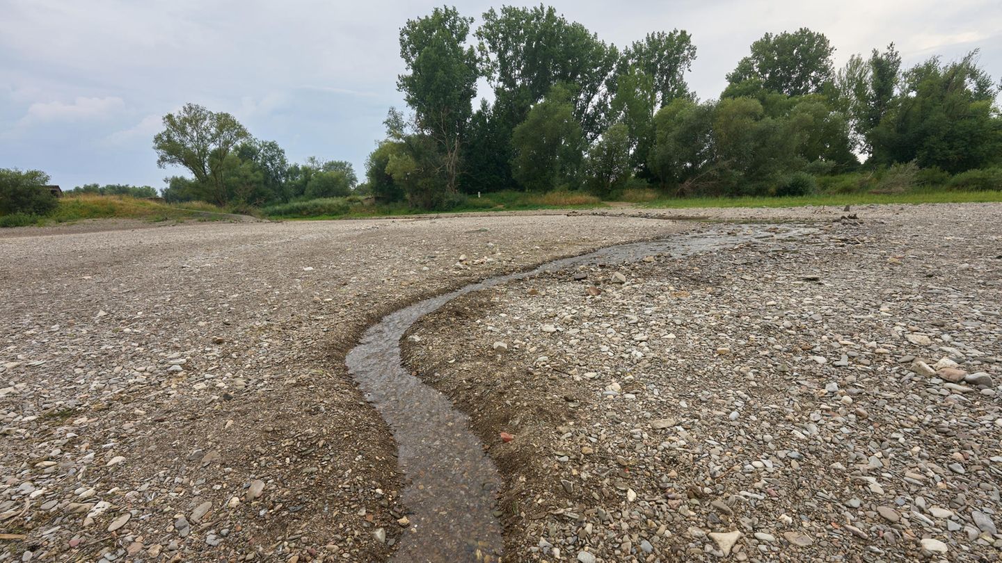 Rhein trocken - Ahr