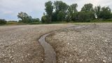 Rhein trocken - Ahr