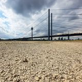 Rhein trocken - Düsseldorf