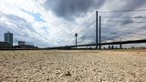 Rhein trocken - Düsseldorf