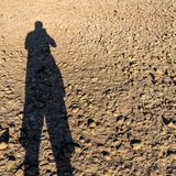 Rhein trocken - Schattenmann