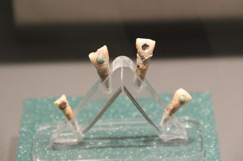 Verzierte Maya-Zähne aus einer archäologischen Ausgrabung