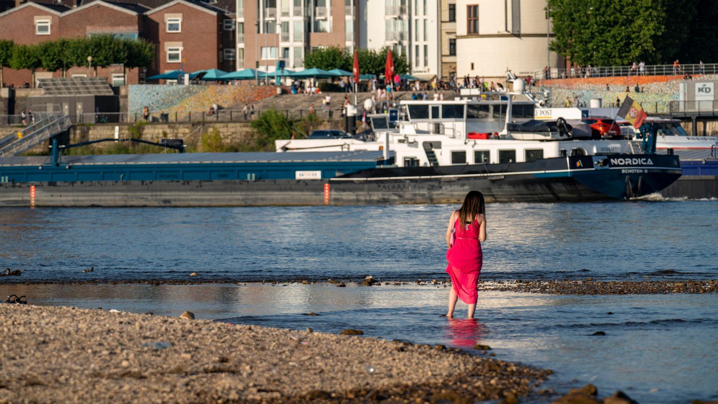 Rhein trocken - Rotes Kleid Rhein trocken - Rotes Kleid