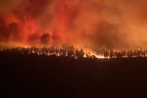 Video: Flammen wüten in der Gironde