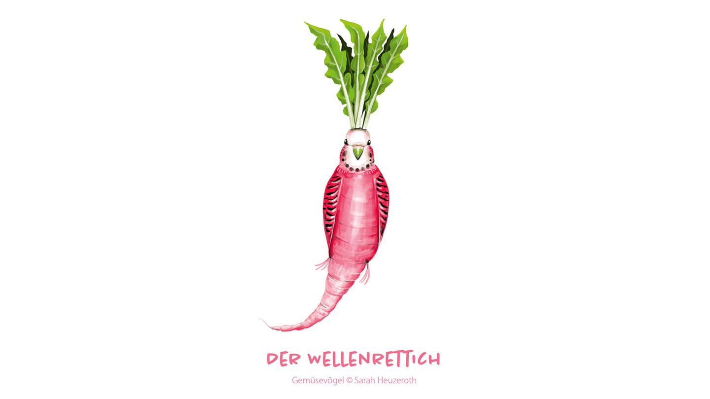 Gemüsevögel Wellenrettich Gemüsevögel Wellenrettich