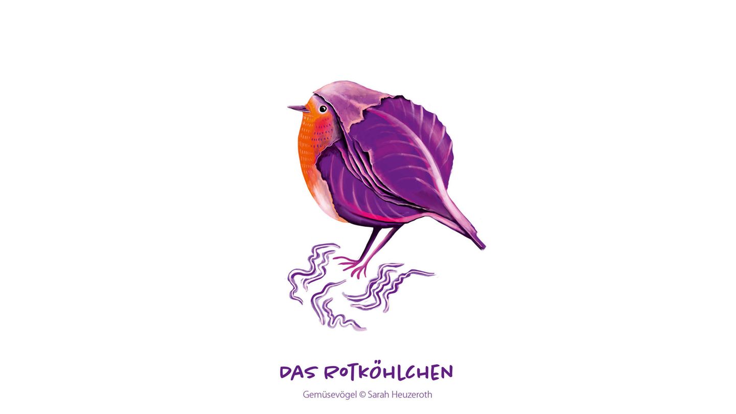 Gemüsevögel Rotköhlchen Gemüsevögel Rotköhlchen