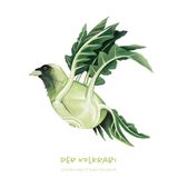 Gemüsevögel Kohlrabi