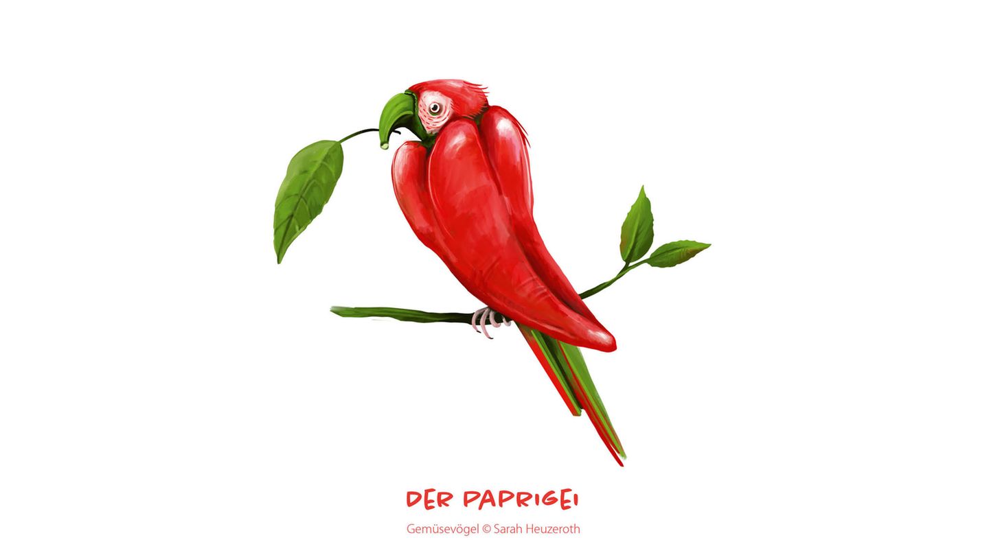 Gemüsevögel Paprigei