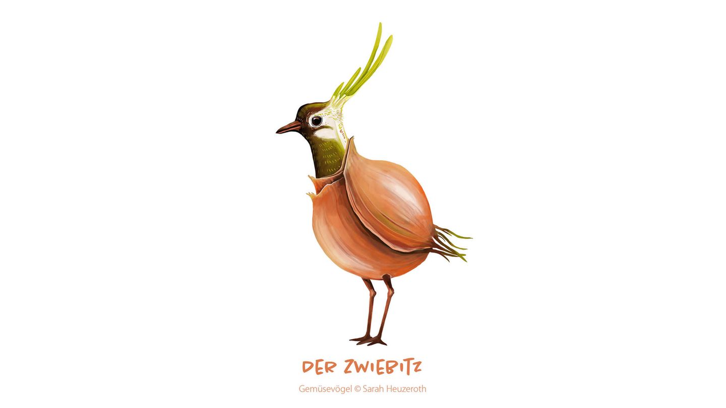 Gemüsevögel Zwiebitz Gemüsevögel Zwiebitz