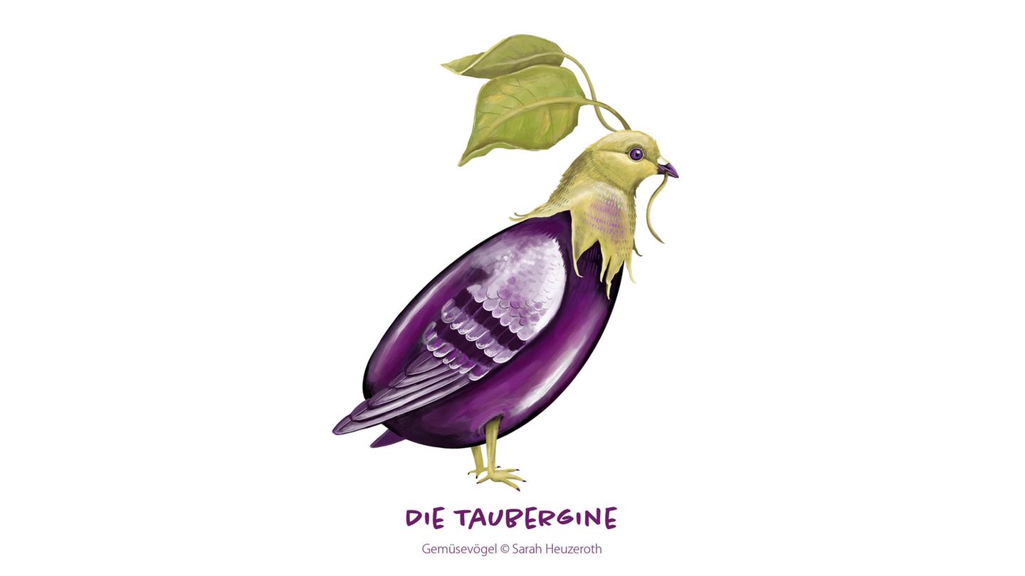 Gemüsevögel Taubergine