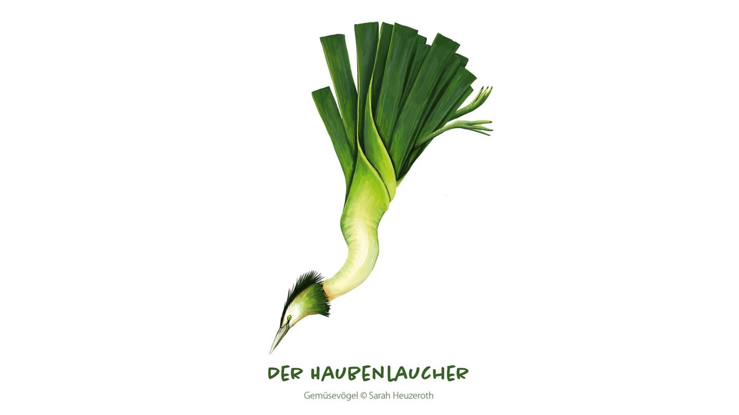 Gemüsevögel Haubenlaucher