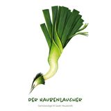 Gemüsevögel Haubenlaucher