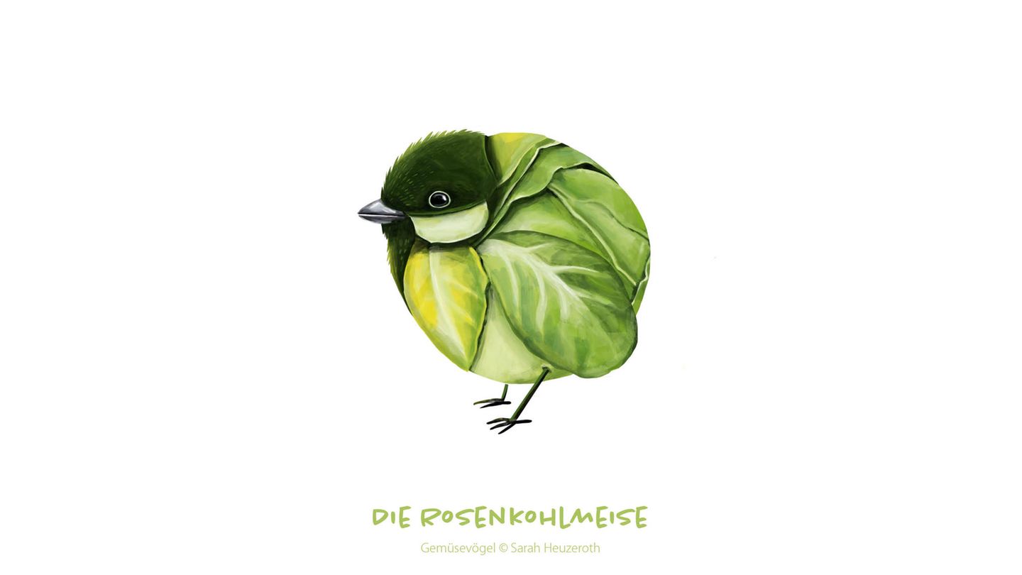 Gemüsevögel Rosenkohlmeise