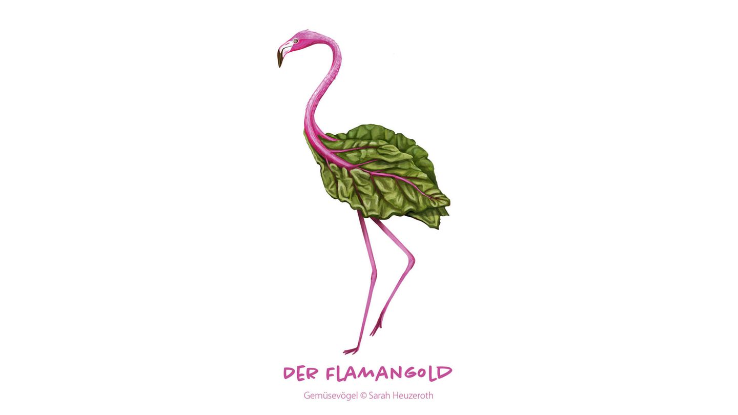 Gemüsevögel Flamangold