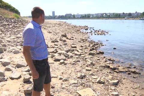 Hitzewelle in Deutschland: Klimaforscher warnt vor Jahren der Trockenheit: "43 bis 45 Grad im Sommer" werden normal