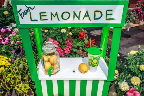 Ein Limonaden-Stand in einem Garten mit Zitronen